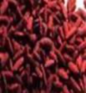  Monascus Rouge
