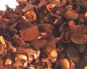 cacao couleur