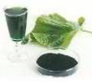 Fer Chlorophyllin de sodium