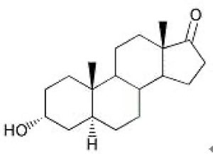 Androstérone Androstérone