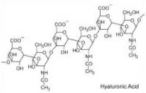Acide hyaluronique