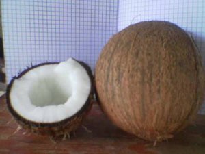 coco