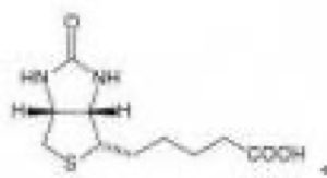 Biotin Biotin