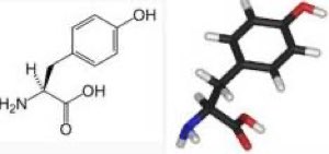 Tyrosine