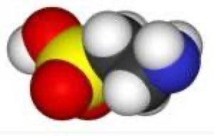 Taurine Taurine