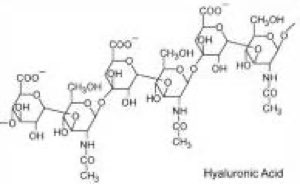 Acide hyaluronique Acide hyaluronique