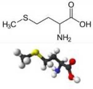 Methionine Methionine