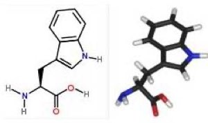 Tryptophan Tryptophan