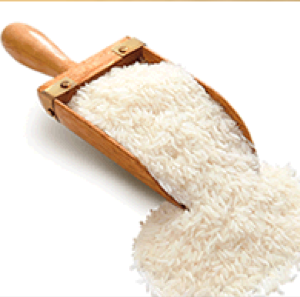 Riz / Rice