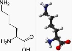 Lysine