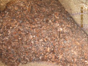 CACAO ET BOIS DE TECK
