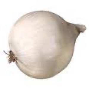 Oignon blanc
