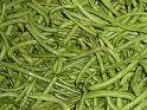 Haricot vert