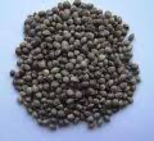 Hemps seeds