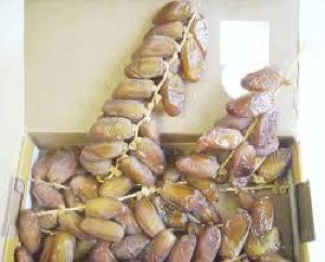 DATTES TUNISIENNE