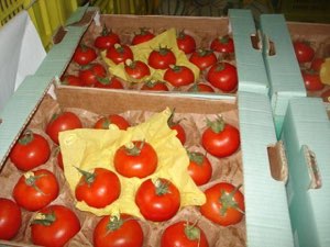 Tomates Tomates