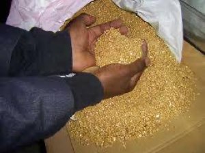 Poudre d' OR