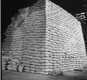 Cane sugar from brazil Cane sugar from brazil