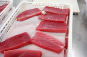 Thon frais yellow fin en filet Thon frais yellow fin en filet