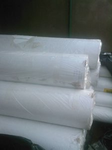 Dos bleu Dos bleu