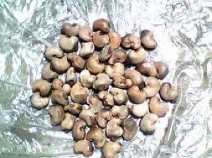Anacardes