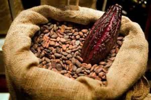Café, Cacao, Anacarde...