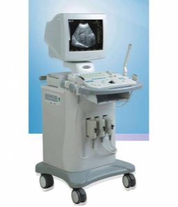 ECHOGRAPHE