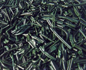 Spiruline (algue bleu) Spiruline (algue bleu)