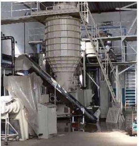 Plante da Saponification