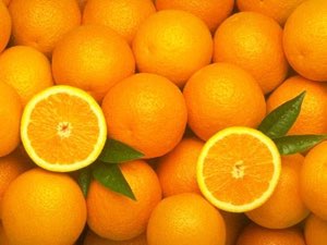 AGRUMES MAROC - EXPORT CITRUS 
