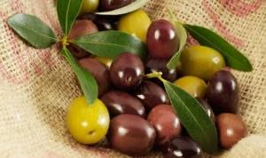 huile d'olive bio
