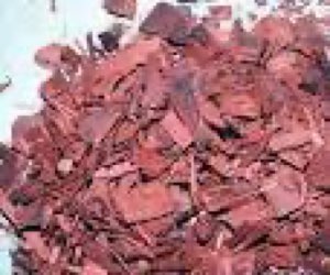 Mulungu bark / powder
