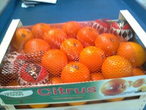Orange du maroc Orange du maroc