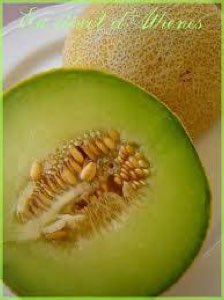 Melon vert Melon vert