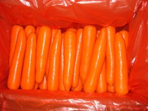 carrote frais