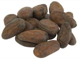 COCOA BEANS  / FÈVES DE CACAO
