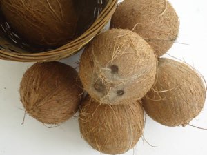 La noix de coco