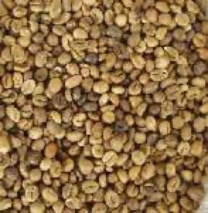 Café robusta Café robusta
