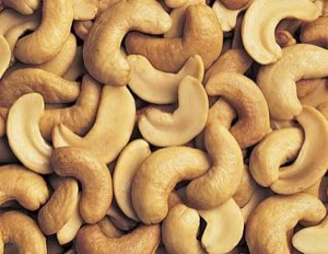 Cashew nut and raw cashew nut Cashew nut and raw cashew nut