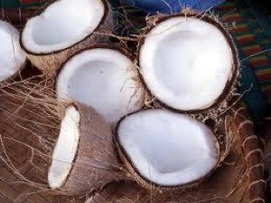 noix de coco