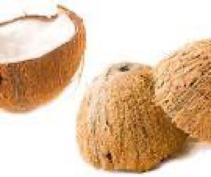 COQUE DE NOIX DE COCO