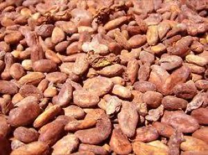 CACAO