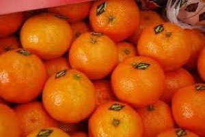 Clementine du maroc Clementine du maroc