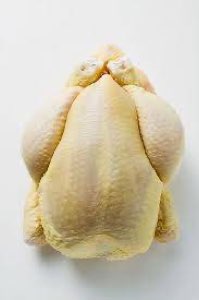 Poulet halal Poulet halal