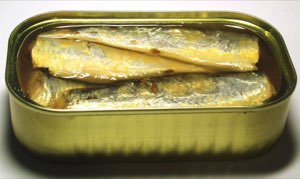 sardine et thon