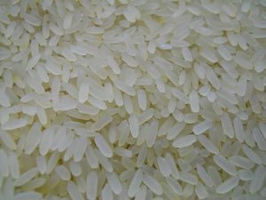 Riz Riz