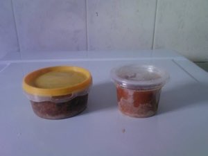 Corail d'oursin(oeufs)