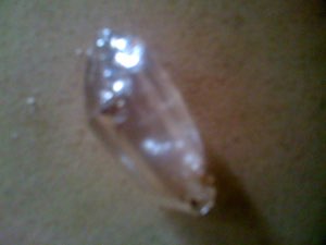 Diamant