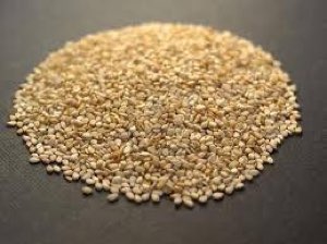 grain de sesame
