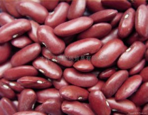 Haricots rouges Haricots rouges